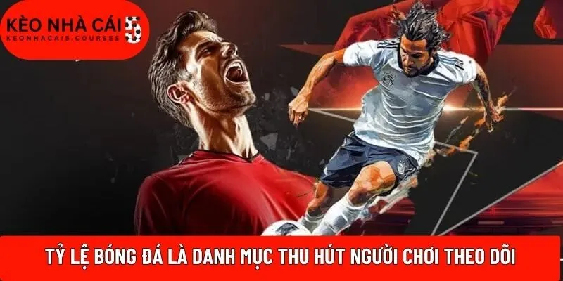 Tỷ lệ bóng đá là danh mục thu hút người chơi theo dõi